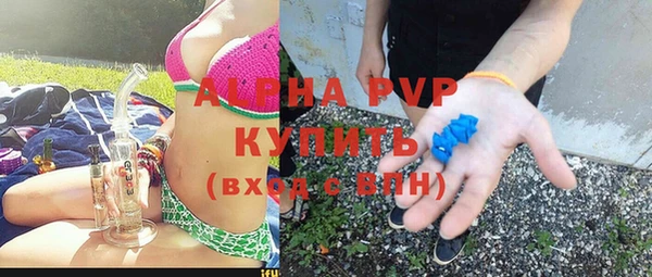apvp Надым