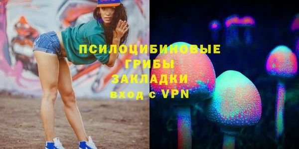apvp Надым