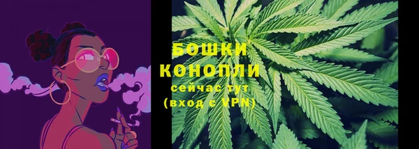 apvp Надым
